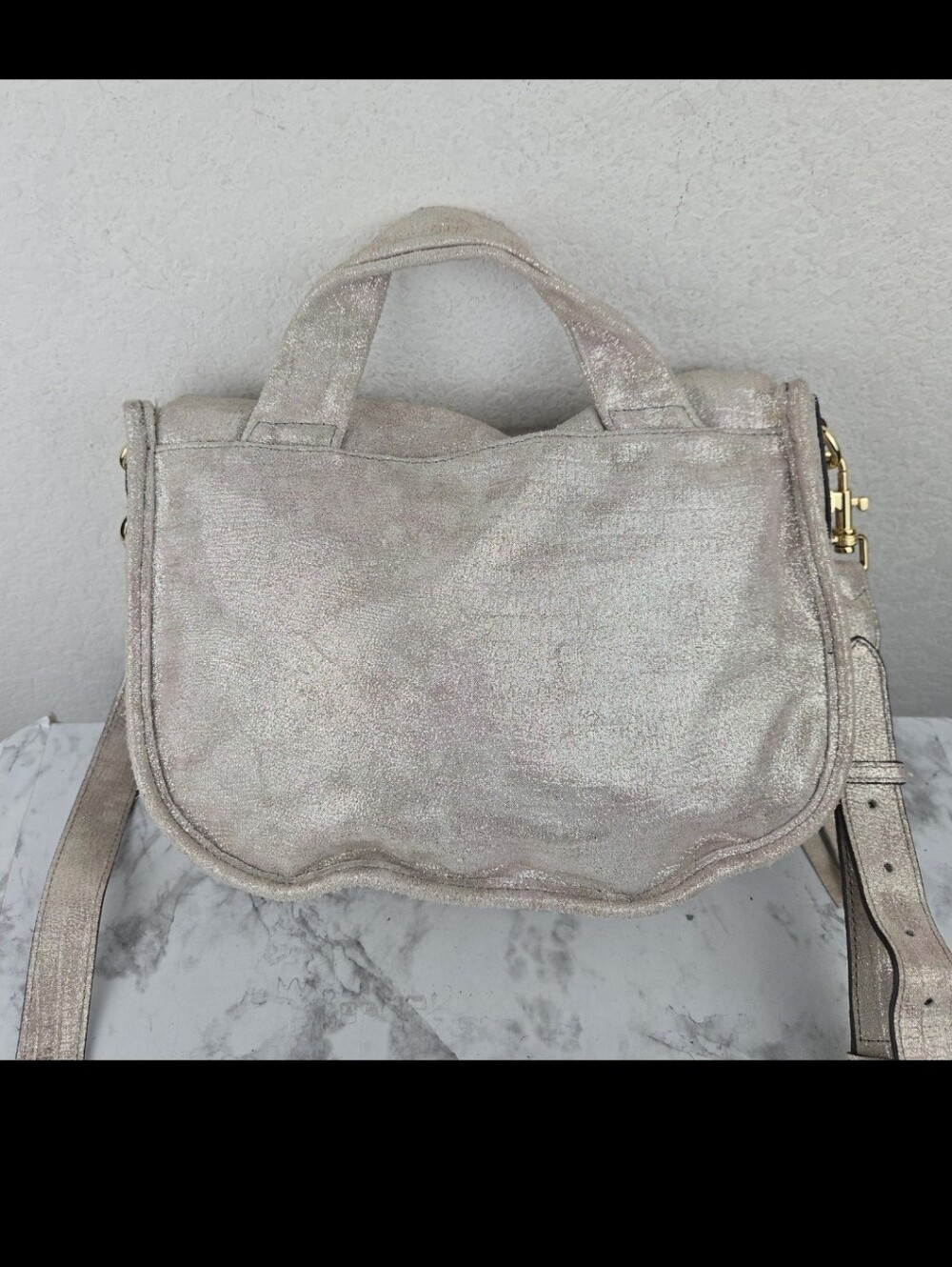 Aimee Kestenberg Metallic Bag View 3